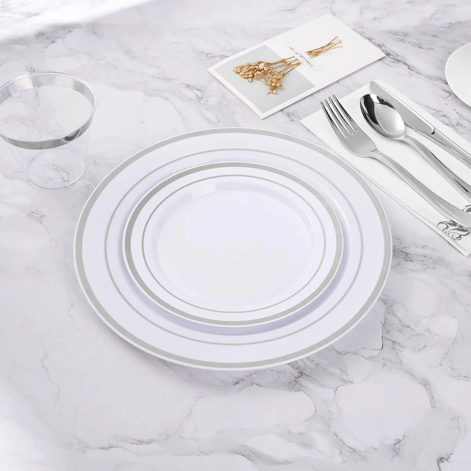 100PCS Silver Plastic Plate, 10.25 Inch Disposable Dinner Plate Party with Silver Rim, Heavy Duty Disposable Plastic Plates for Party, Wedding and Birthday