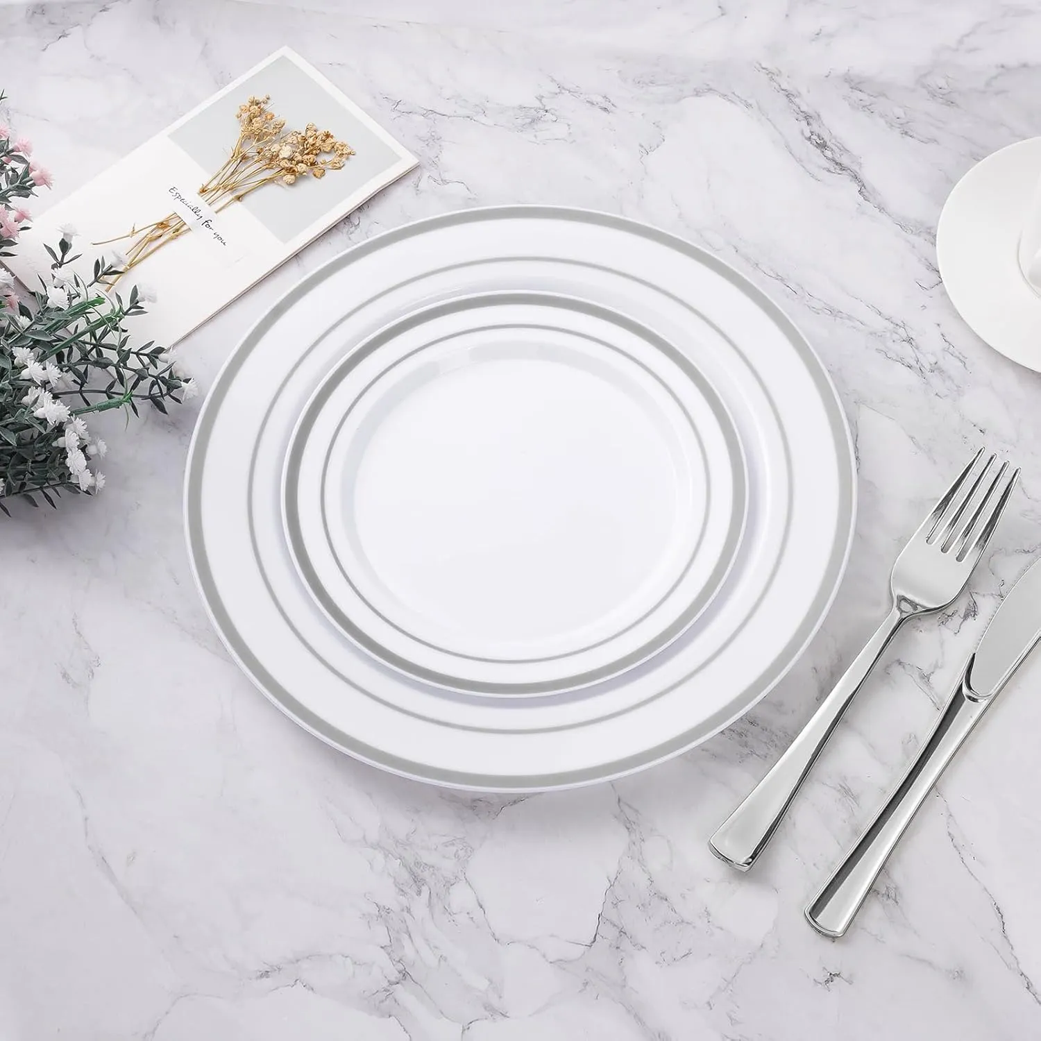 100PCS Silver Plastic Plate, 10.25 Inch Disposable Dinner Plate Party with Silver Rim, Heavy Duty Disposable Plastic Plates for Party, Wedding and Birthday