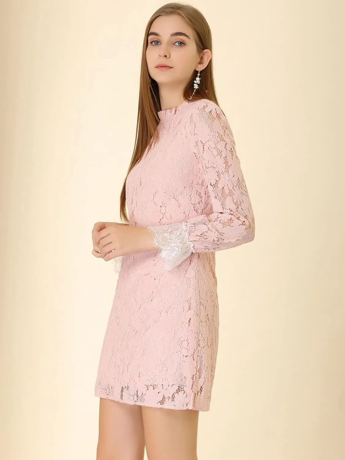 Allegra K Women's Cocktail Elegant Ruffle Crew Neck Floral Lace Shift Dress