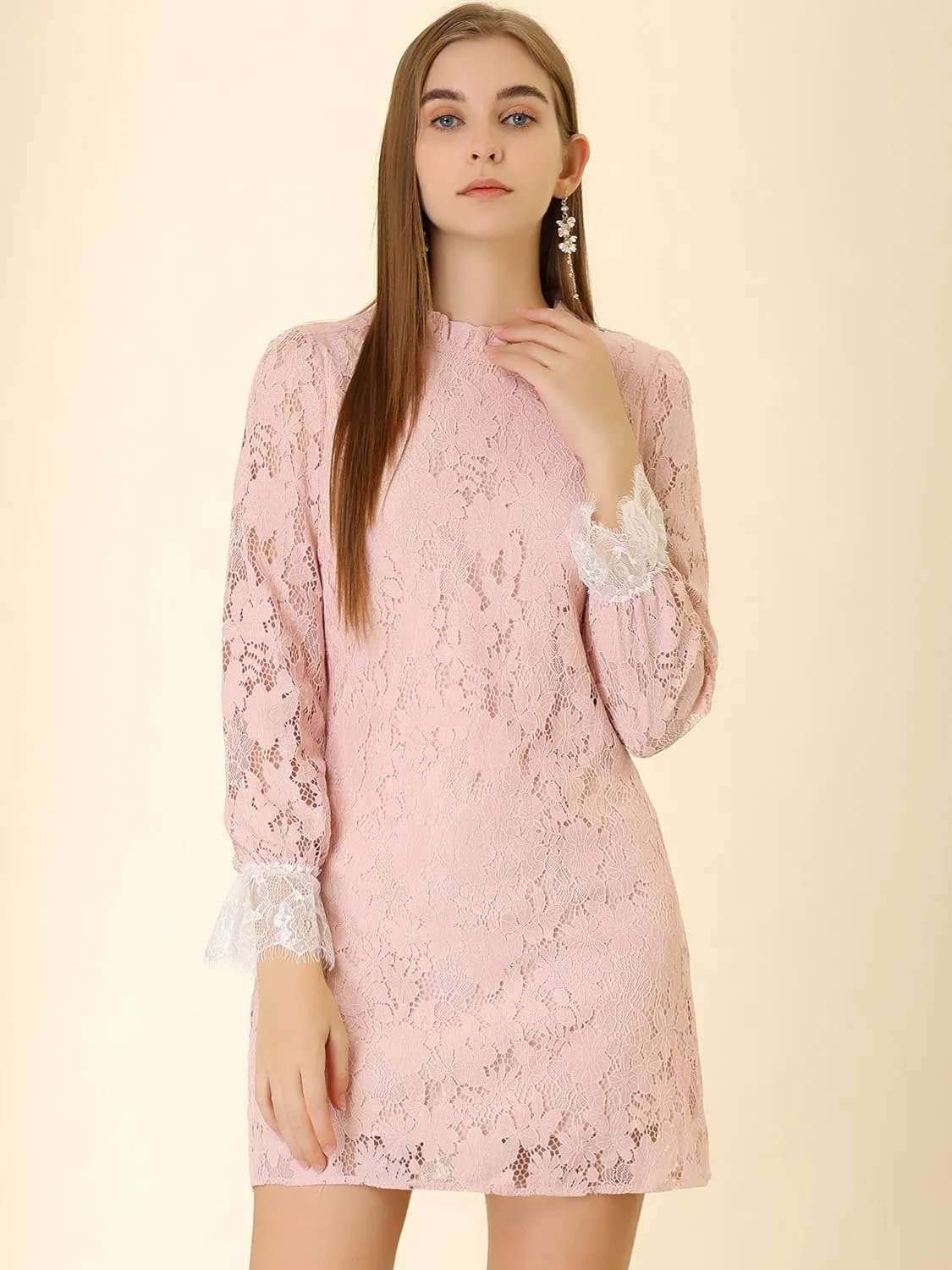 Allegra K Women's Cocktail Elegant Ruffle Crew Neck Floral Lace Shift Dress