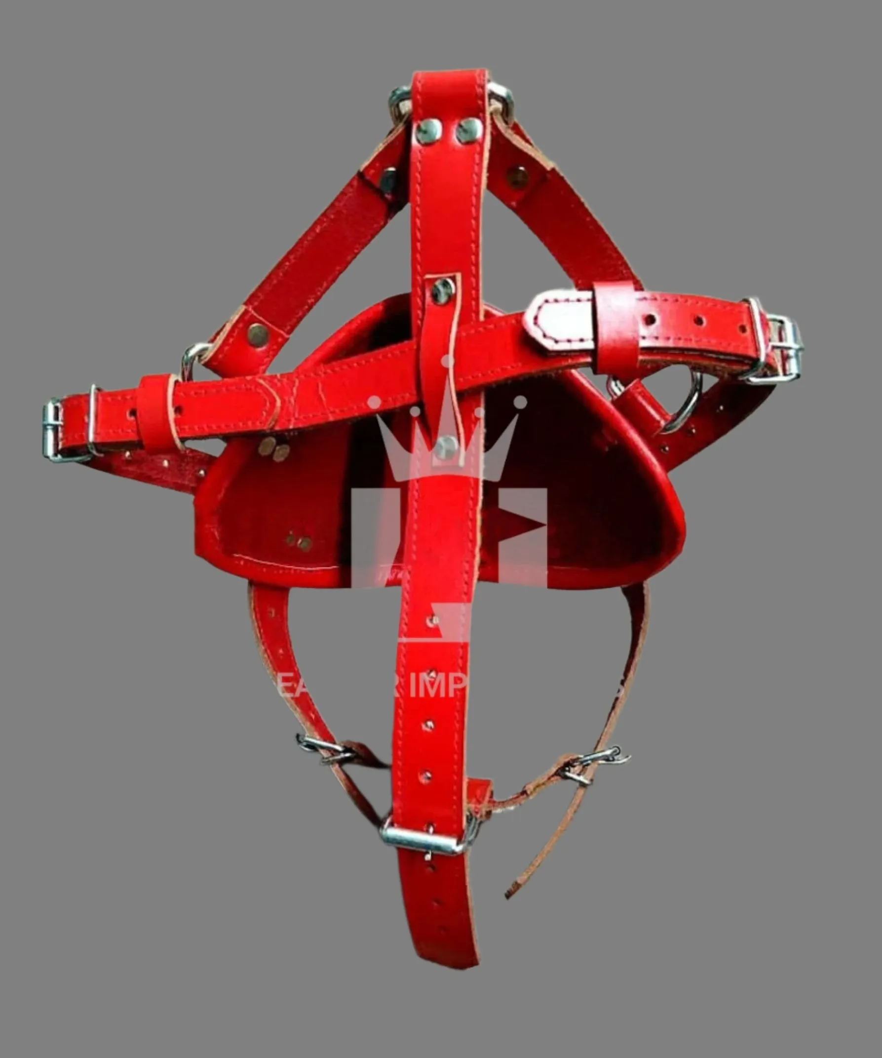 BDSM Head Harness And Muzzle
