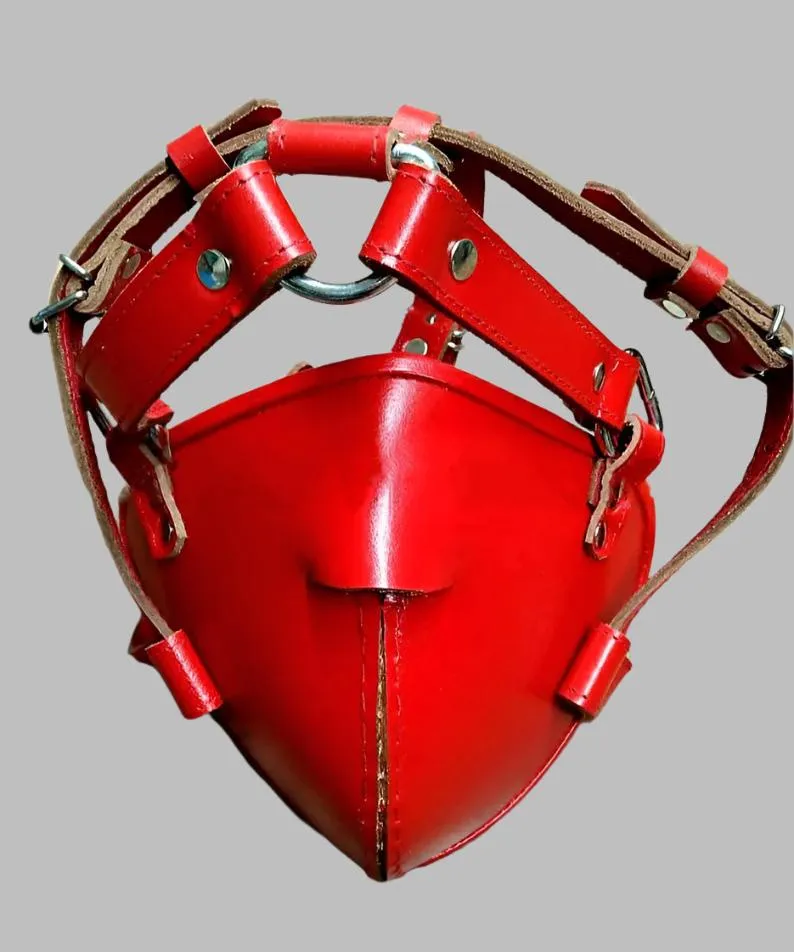 BDSM Head Harness And Muzzle