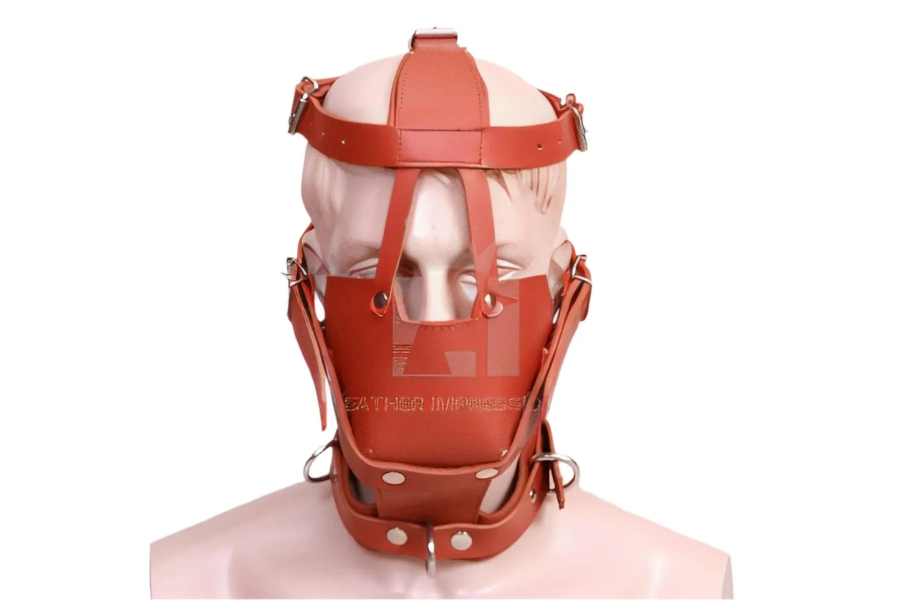 BDSM Muzzle With Bondage Head Harness