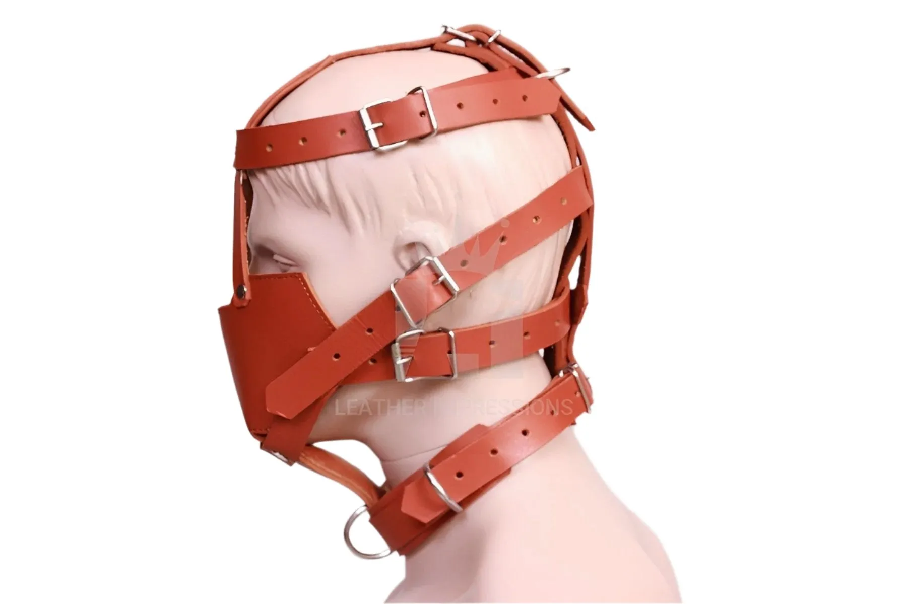 BDSM Muzzle With Bondage Head Harness