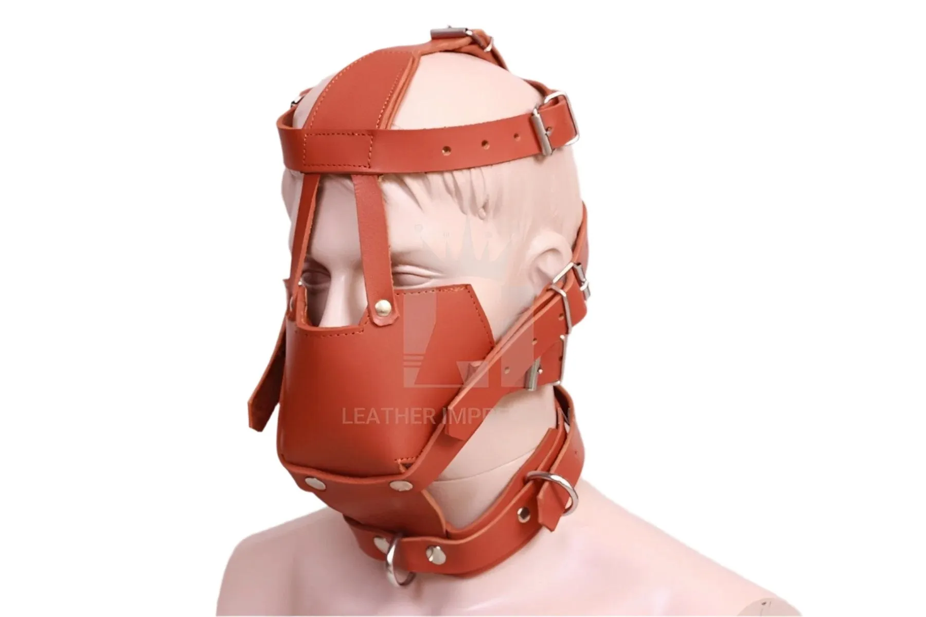 BDSM Muzzle With Bondage Head Harness