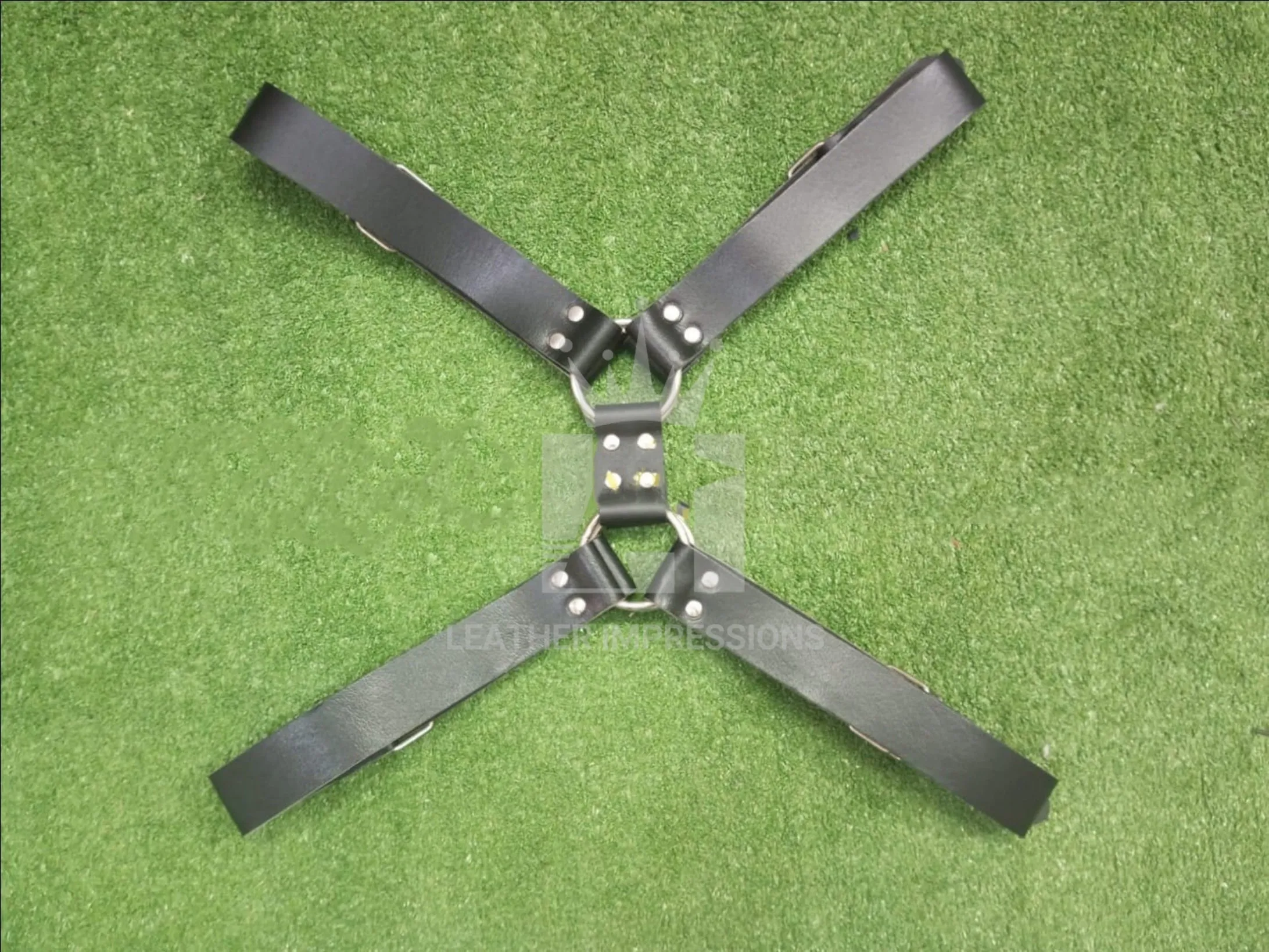 Bulldog Harness for Men