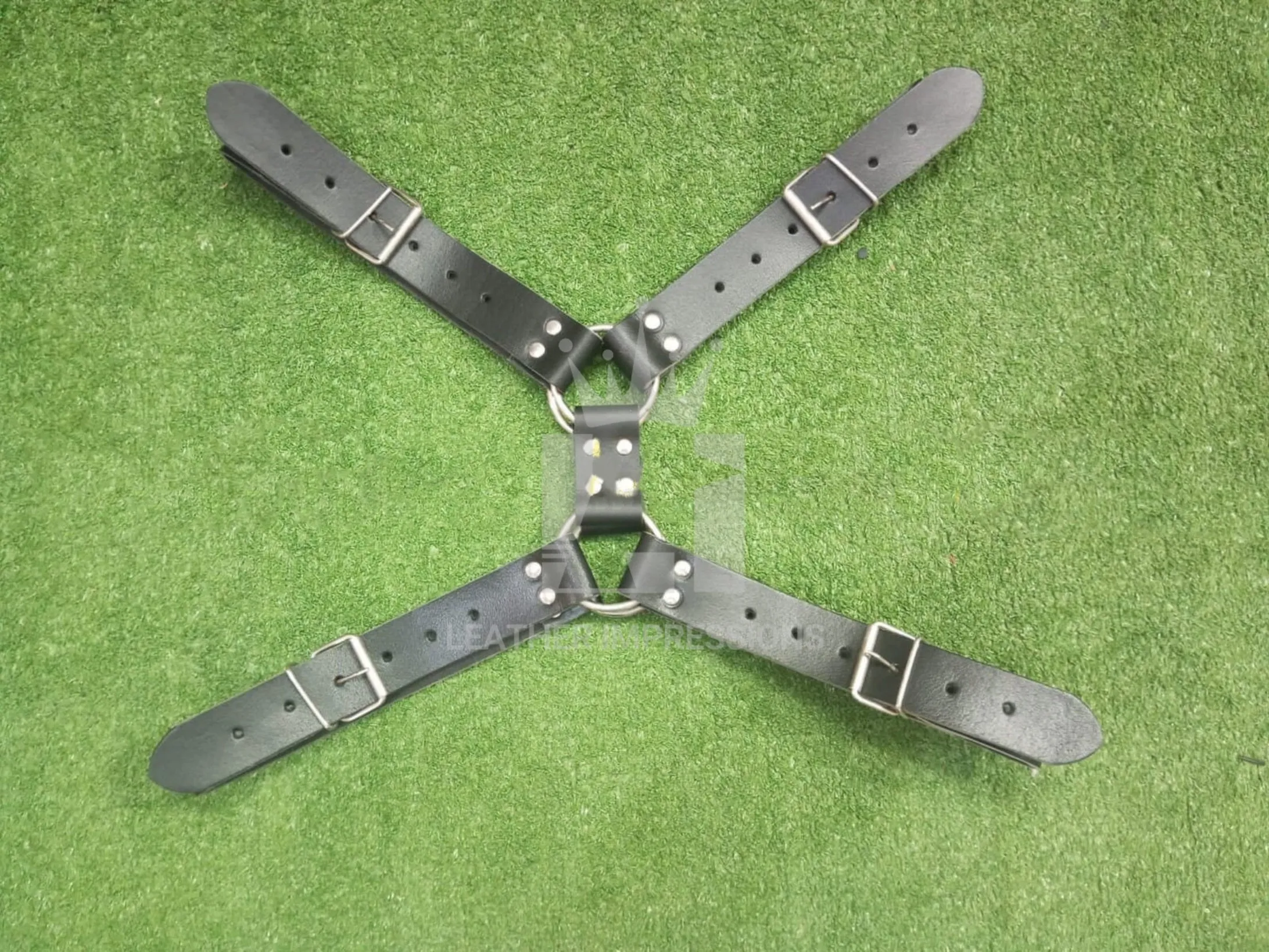 Bulldog Harness for Men