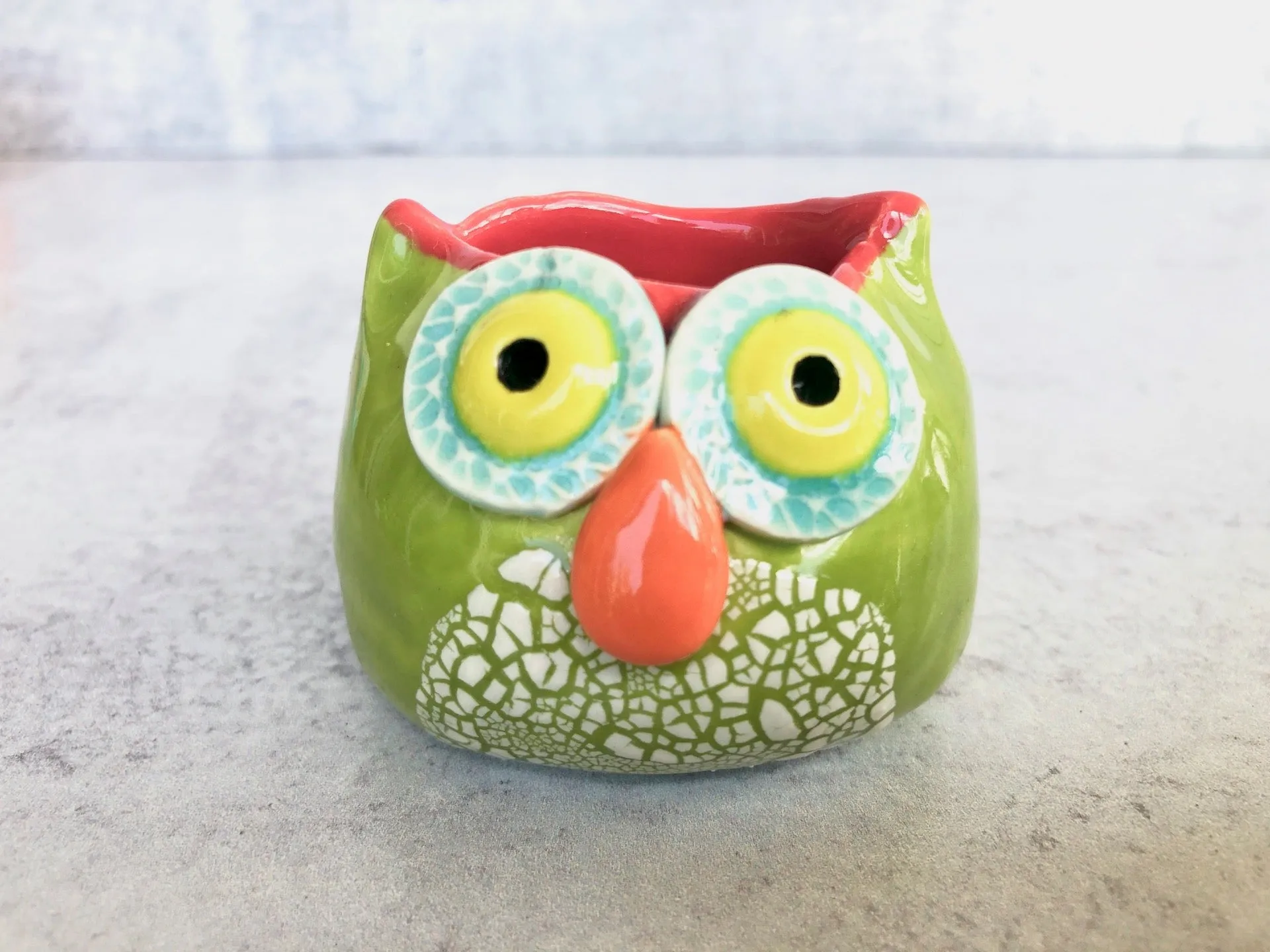 Ceramic Owl Air Plant Holder