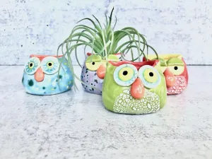 Ceramic Owl Air Plant Holder