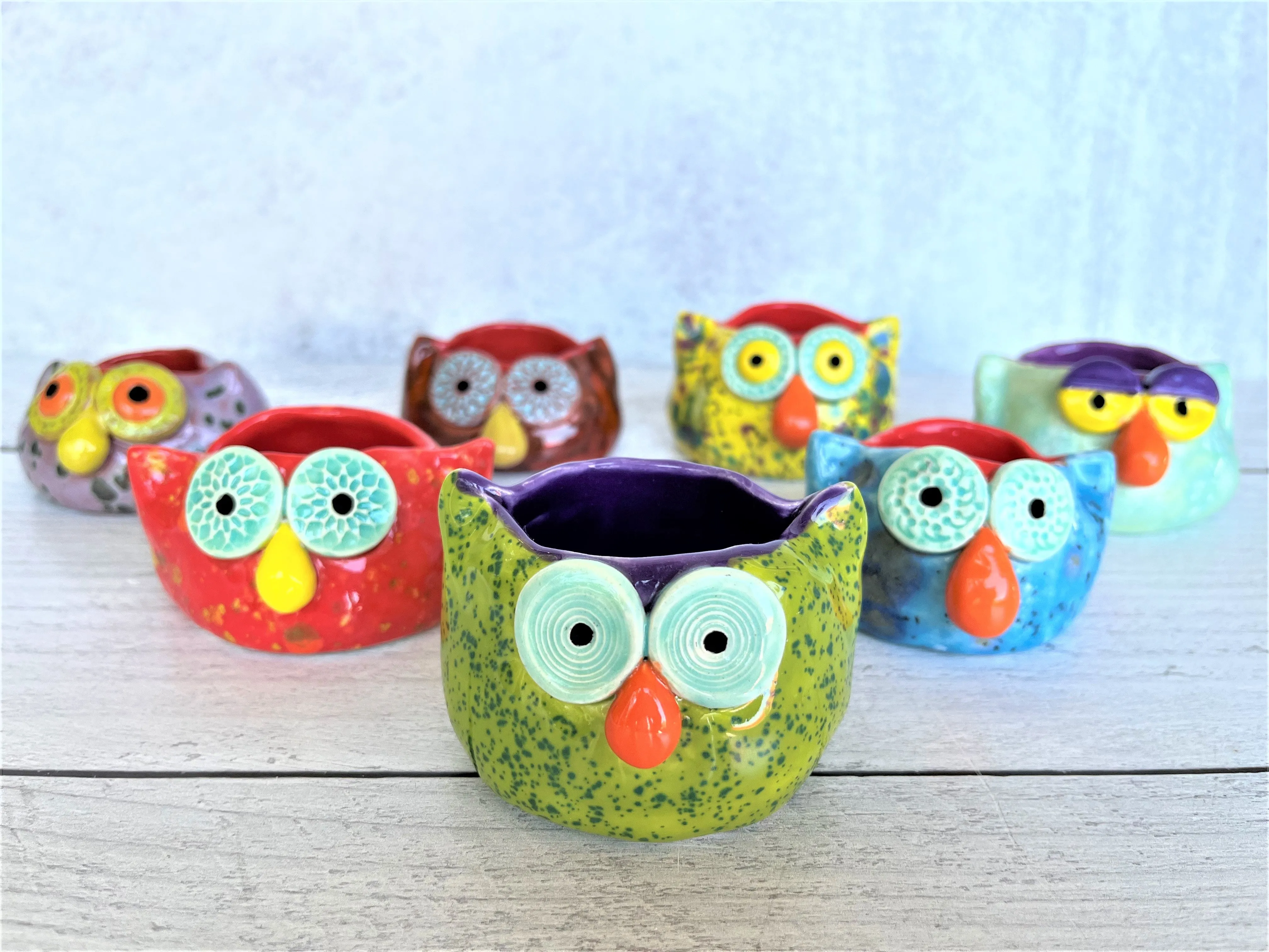 Ceramic Owl Air Plant Holder
