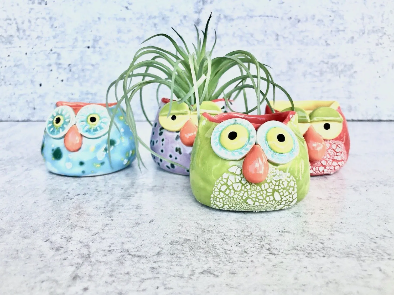Ceramic Owl Air Plant Holder
