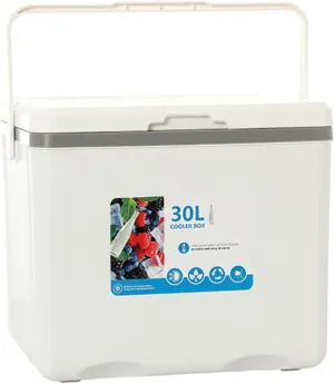 Cooler for Aston Martin Vanquish/Vantage/Cygnet/DB11/Rapide Insulated Hard Ice Box Large High-Performance Storage Box Portable Cool Picnic Box Festival Camping,A-38 * 30.5 * 34.5cm