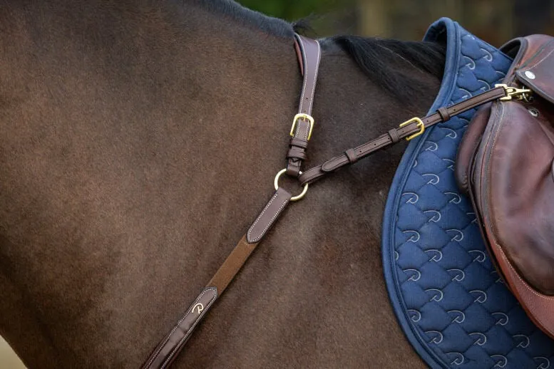 Dy'on D Collection Bridge Breastplate