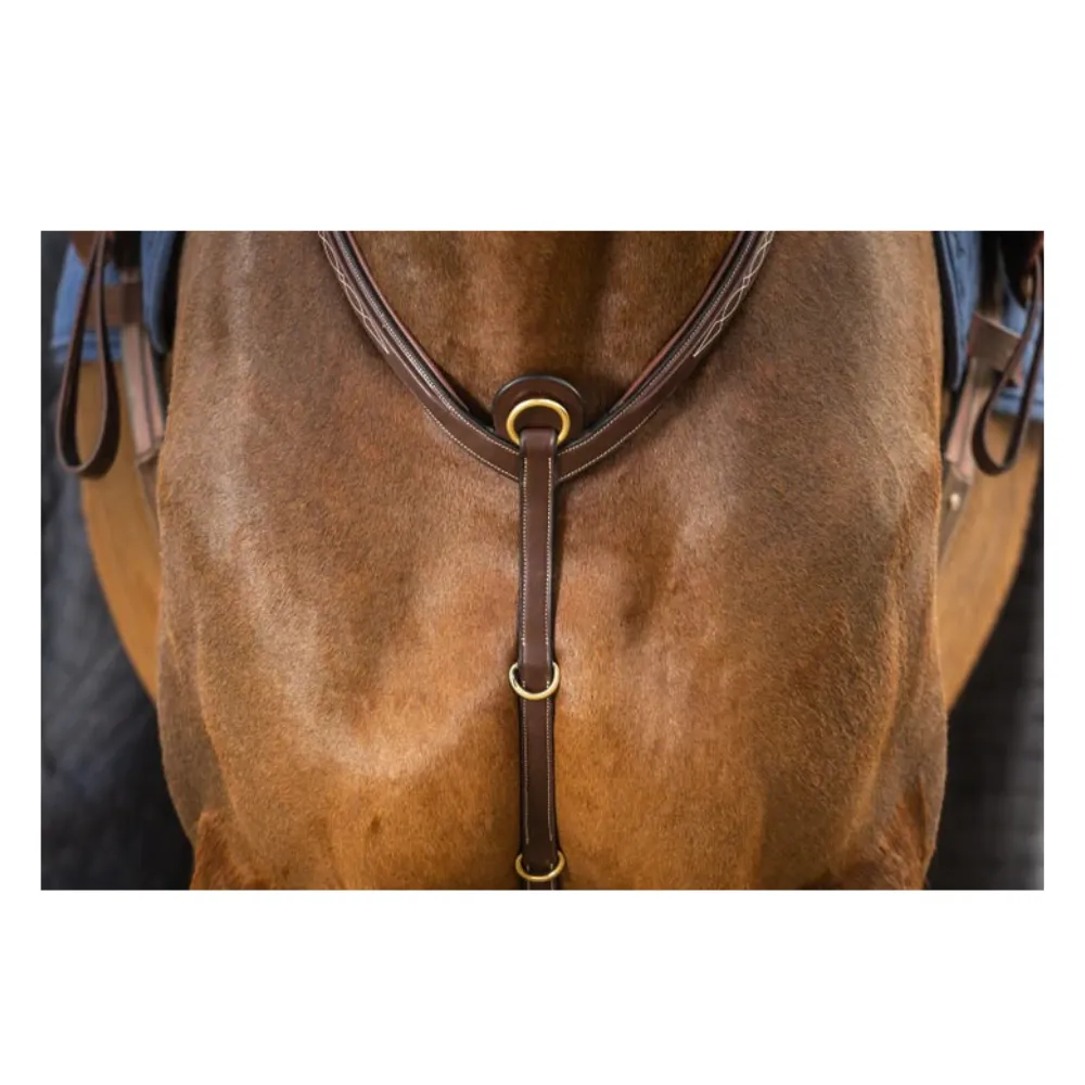Dy'on D Collection Bridge Breastplate