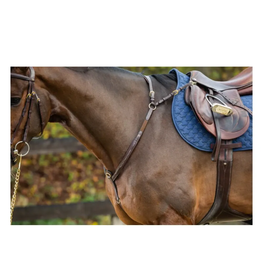 Dy'on D Collection Bridge Breastplate