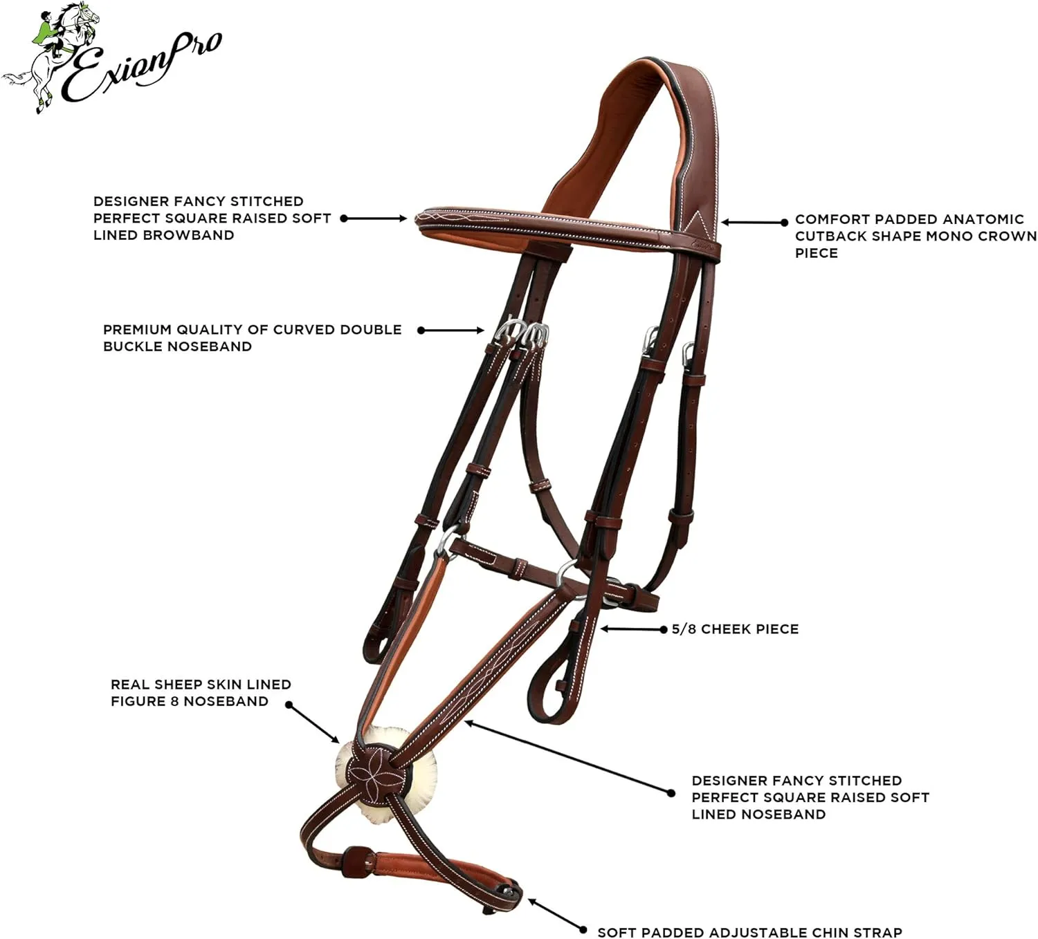 Exion Jumping Horse Bridle | Anatomical Figure 8 Bridle with Fancy Stitching & Padded Grackle Noseband | Rubber Grip Reins & Brass Buckles | English Tack for Equestrian Show & Training