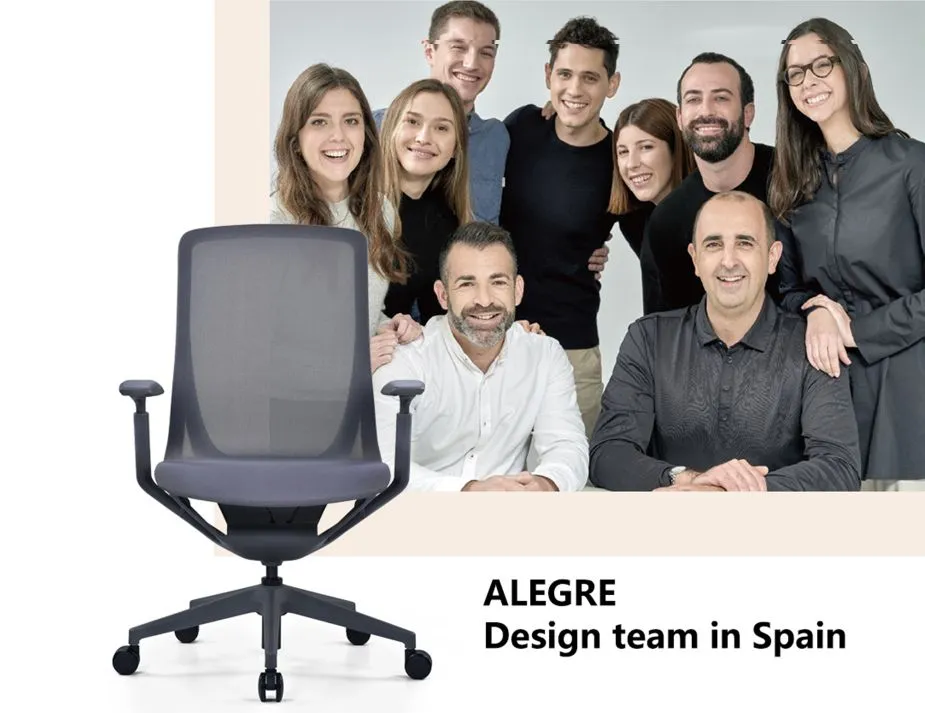Gravity Ergonomic Office Chair - Charcoal Frame - Charcoal Mesh