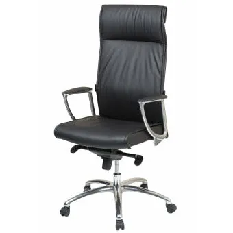 James Executive Meeting Chair