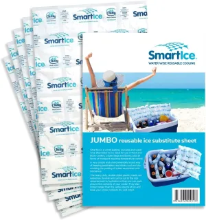 Jumbo Ice Sheets 18x12 - Prolonged & Reusable Cooling for Food, Drinks or Medications. Stays Dry When thawing Making Them Ideal for ice chests, Cooler Bags and Lunch Boxes