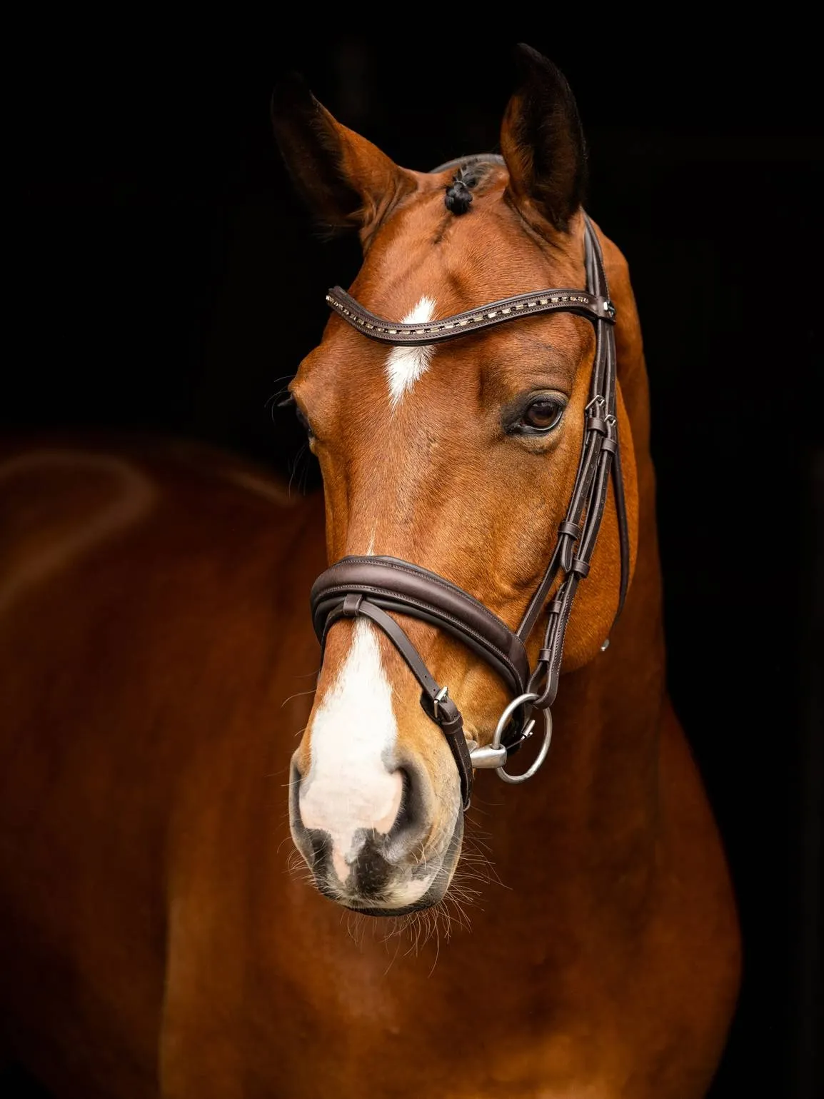 LeMieux Arika Dressage Bridle