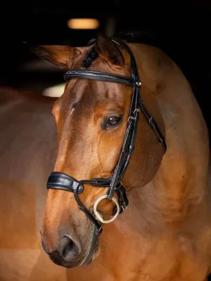 LeMieux Kudos Clear Arc Bridle