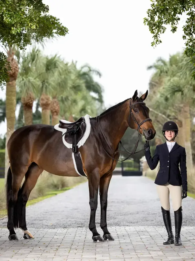 LeMieux Stitched Hunter Bridle with Laced Reins