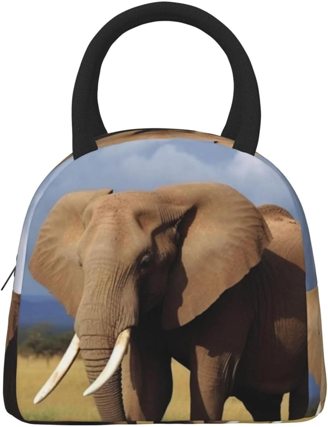 Lunch Bag for Women Men Grassland Elephant Insulated Lunch Box for Adult Reusable Lunch Tote Bag for Work Picnic Travel