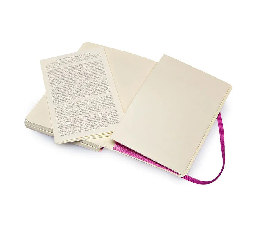 Moleskine Coloured Ruled Notebook - Large