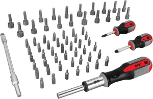 Performance Tool W1784 66-Piece Screwdriver and Bit Set, Full Set, Holders and Organizers Included, Reversible Driver, Flex Extension, Phillips, Slotted, Pozi, Square, Hex, Star, SAE/MET Nut Drivers