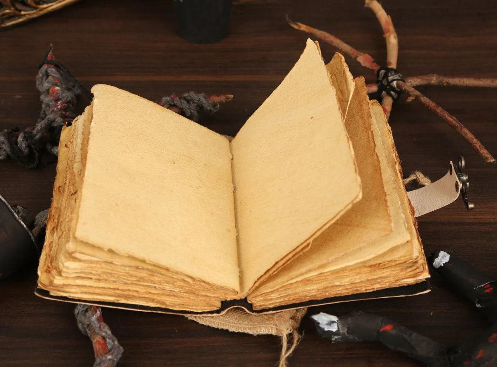 Spell Book of Shadows Luna Moth Journal